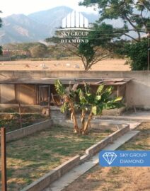 WhatsApp Image 2025-11-03 at 11.21.50 AM