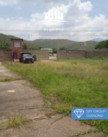 WhatsApp Image 2025-11-03 at 2.59.44 PM (2)